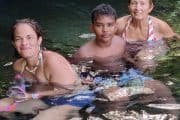 Tulum and Cenote Snorkeling