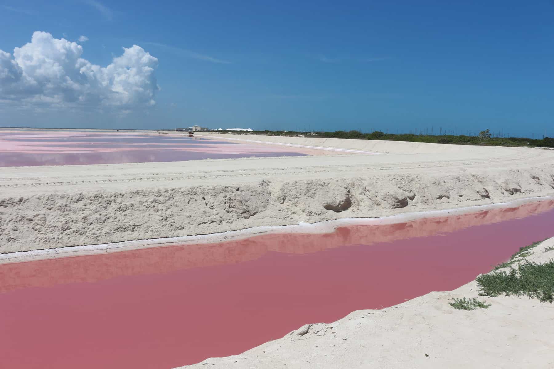 Tour Private Rio Lagartos Flamingo Pink Lakes