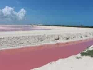 Get a first-hand experience of the incredible pink lakes of Las Coloradas